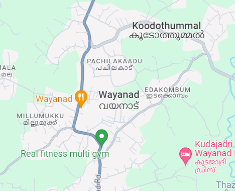 Wayanad on Google Maps